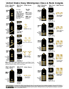 U.S. Navy Midshipman all carry the same military rank but are divided internally into 10 ranks: Midshipman 4th class, abbreviated MIDN 4/C, midshipman 3rd class, abbreviated MIDN 3/C, midshipman 2nd class, abbreviated MIDN 2/C, midshipman 1st class, abbreviated MIDN 1/C, midshipman ensign, abbreviated MIDN ENS, midshipman lieutenant junior grade, abbreviated MIDN LTJG, midshipman lieutenant, abbreviated MIDN LT, midshipman lieutenant commander, abbreviated MIDN LCDR, midshipman commander, abbreviated MIDN CDR, and midshipman captain, abbreviated MIDN CAPT. Each rank has a specific insignia on the shoulder, sleeve and collar to distinguish the rank.