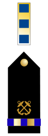 U.S. Navy chief warrant officer 2 rank insignia
