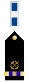 U.S. Navy chief warrant officer 3 rank insignia