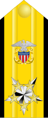 Proposed shoulder board insignia for a possible six-star admiral grade.