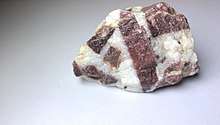 A picture of a brecciated quartzite rock