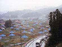 A large field with oversized blue umbrellas at regular intervals. Mountains are barely visible in the background as fog descends.