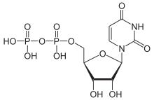 Skeletal formula of uridine diphosphate