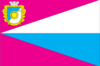 Flag of Verhnyorogachytskyi Raion