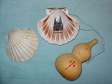 A shell and a drinking bottle.