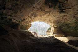 Vindija Cave