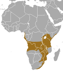 Southern Africa excluding the Kalahari Desert