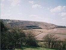 Photograph of Watership Down