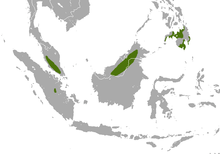 Southwestern Malay peninsula, central Sumatra, northern Borneo, and Mindanao in the Philippines