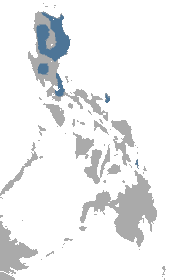 Luzon in the northern Philippines