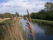 photograph of countryside scene, with water bounded by grass