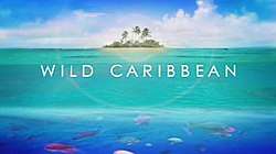 Wild Caribbean title card