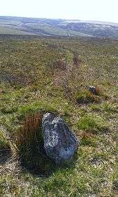 A short, pointy stone sticking out from grassland.