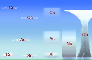 A diagram showing clouds at various heights