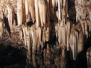 A picture of dozens of pointed limestone formations hanging from a ceiling inside a cave.