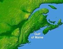 A topographical map depicting the Gulf of Maine region, with the land being colored green. Visible are the Northeastern United States, Nova Scotia, New Brunswick, and southeastern Quebec