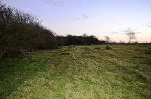 Wymington Meadow