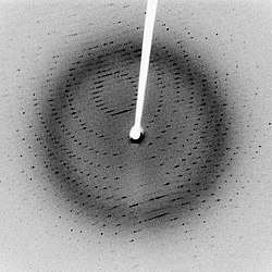 X-ray diffraction pattern.