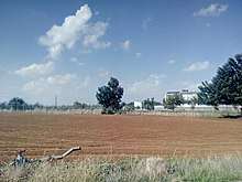 Cultivated agricultural field in Ypsonas Industrial Area, Limassol
