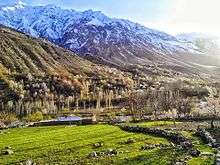 Shades of Spring in the heights of Hindu Kush