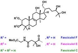 Chemical structures of fasciculols C, E and F